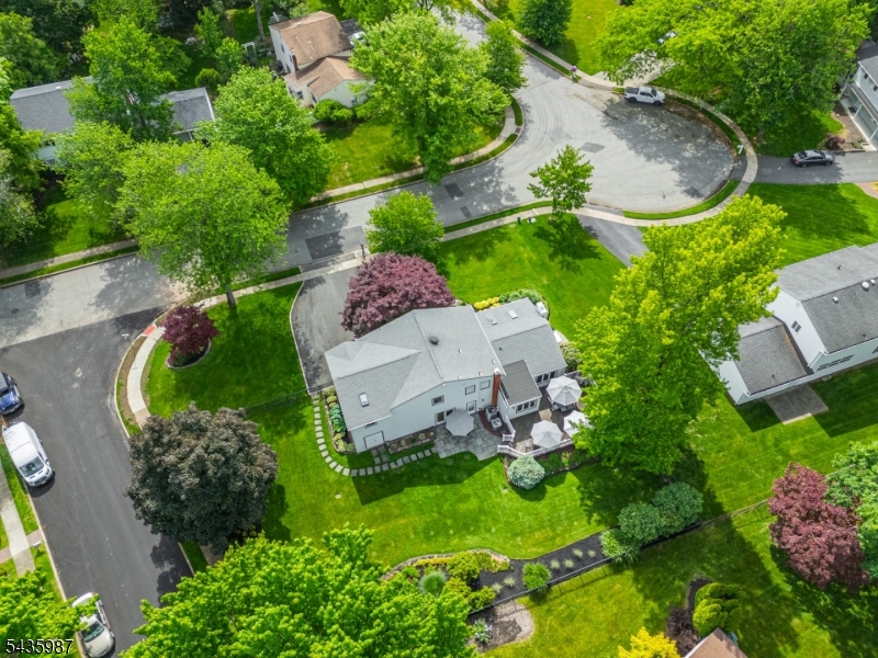 Druid Hills - Residential