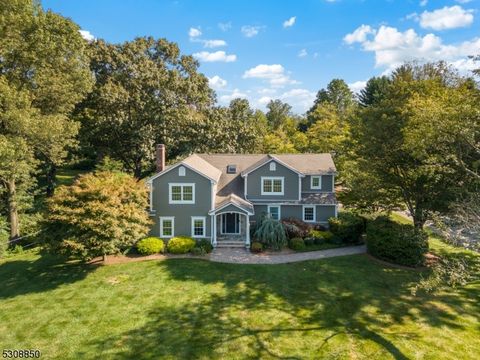 20 Mountain View Dr, Chester Twp., NJ 07930 - MLS#: 3920608