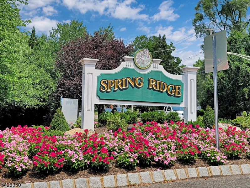 Spring Ridge - Residential