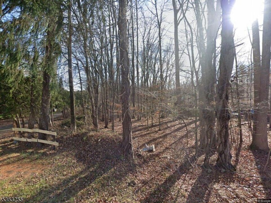 Golden opportunity to build the house of your dreams. Located ideally near Rt. 46 and Rt. 80. Large 100 x 248 lot ready for your move to build.