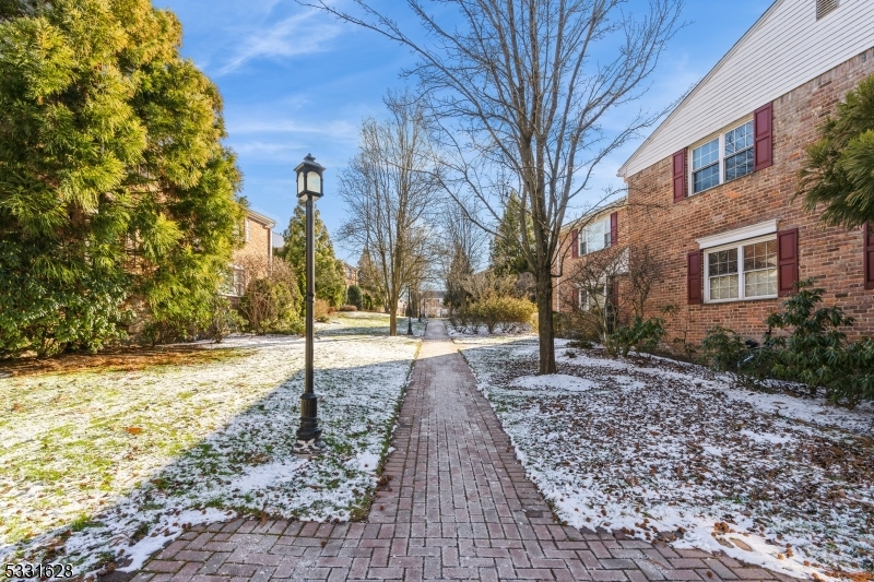 Raine Court - Residential