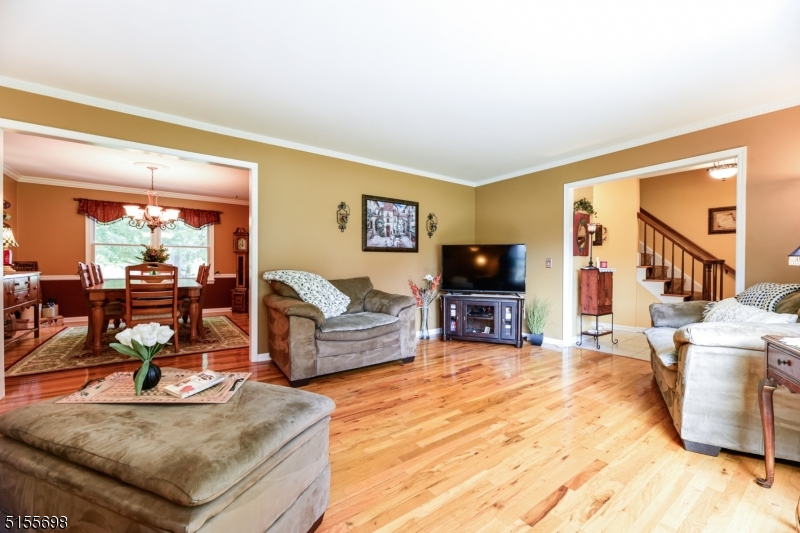 MEADOW RUN - Residential