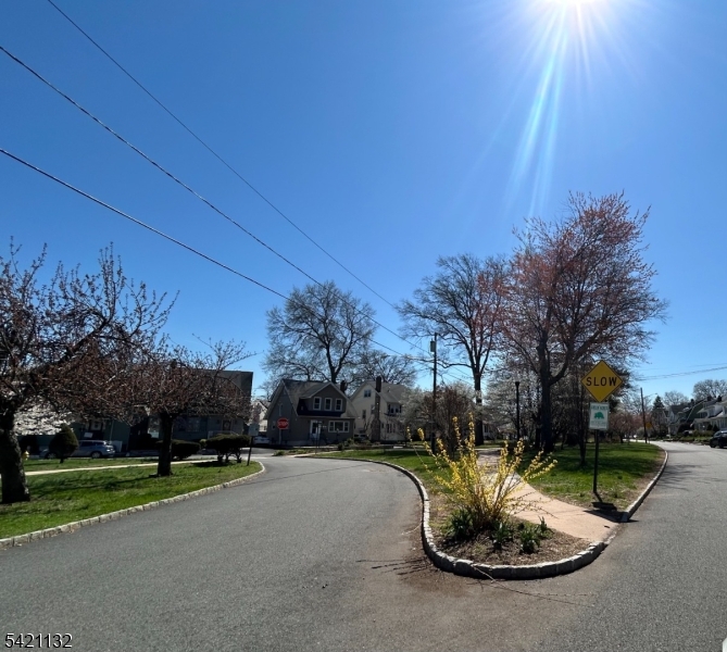 Halcyon Park - Residential