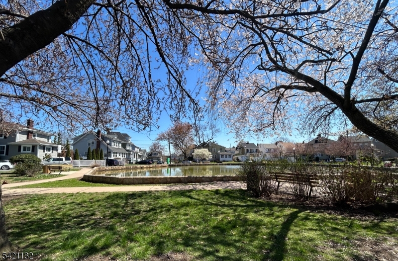 Halcyon Park - Residential