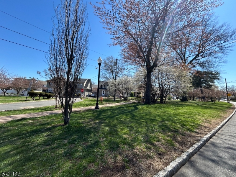 Halcyon Park - Residential