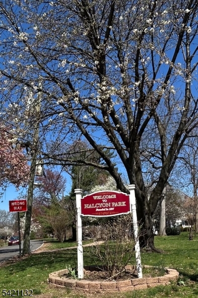 Halcyon Park - Residential