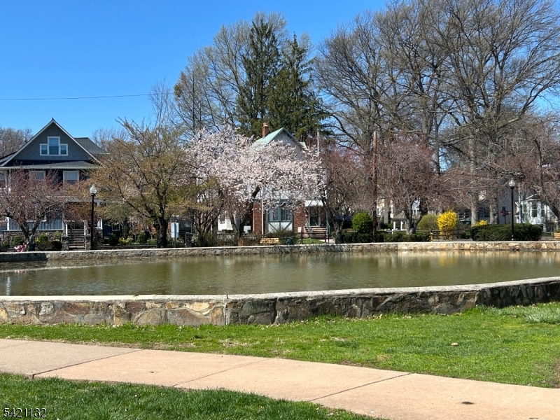 Halcyon Park - Residential