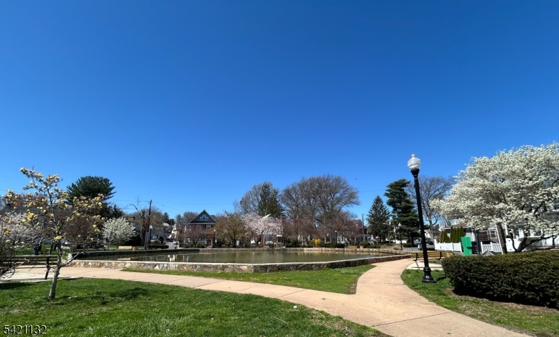 Halcyon Park - Residential