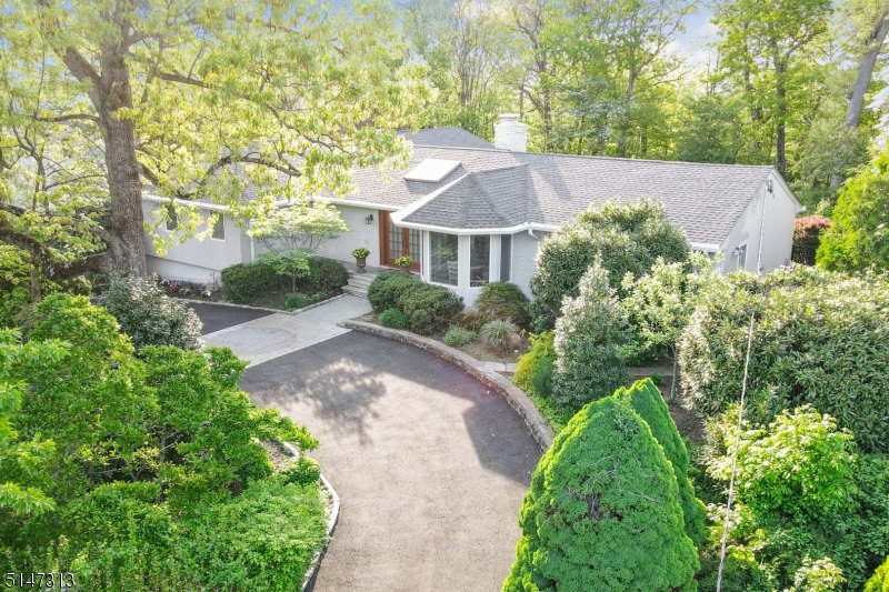 Chestnut Hill - Residential