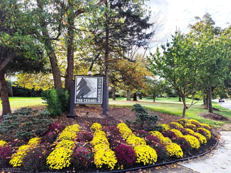 The Cedars - Residential