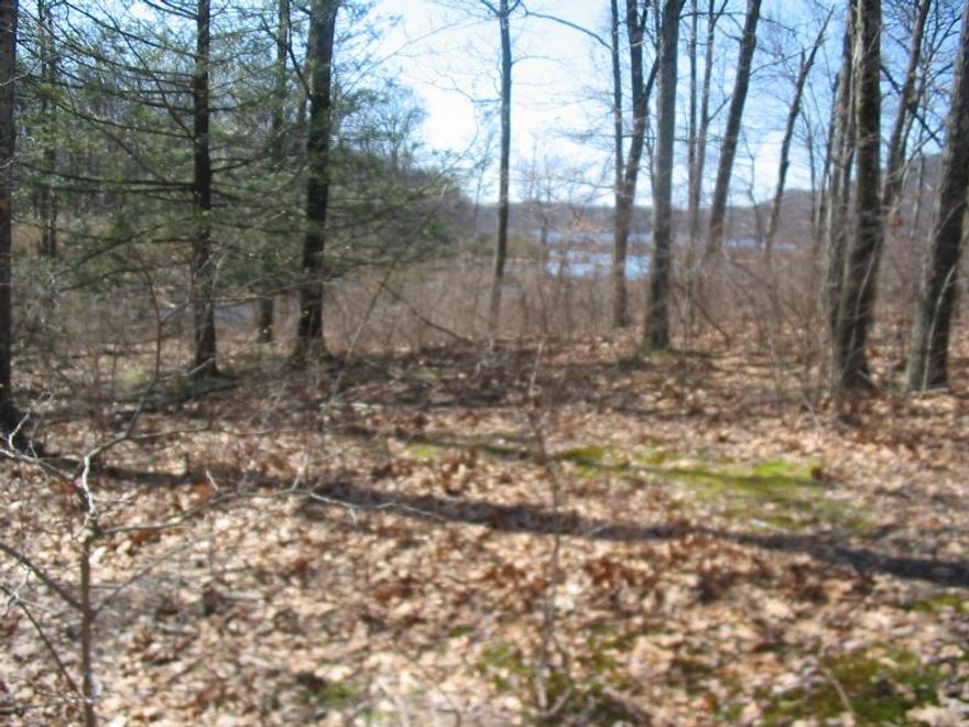 Welcome to this updated 1-bedroom, 1-bath apartment perfectly situated on the corner of Passaic Avenue and Passaic Street. This location puts you right in the center of town with easy access to local retail, restaurants, transportation, and everyday conveniences.The apartment offers a comfortable layout with a well-sized living area, a bright bedroom, and a functional kitchen and bath. A shared parking lot is available in the rear of the building for added convenience.This unit is ideal for anyone looking for a clean, centrally located home with great walkability and quick access to major roadways.