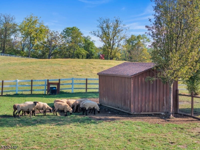 Hollywood Hills - Residential