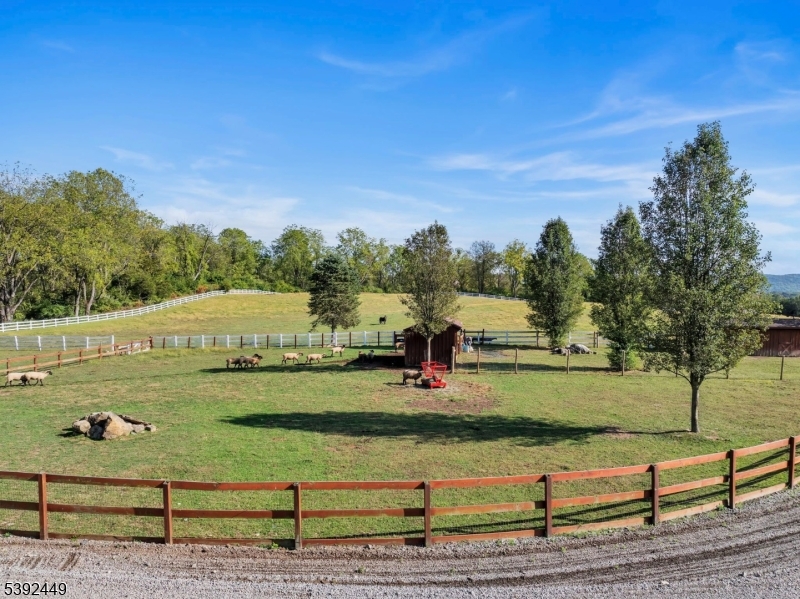 Hollywood Hills - Residential