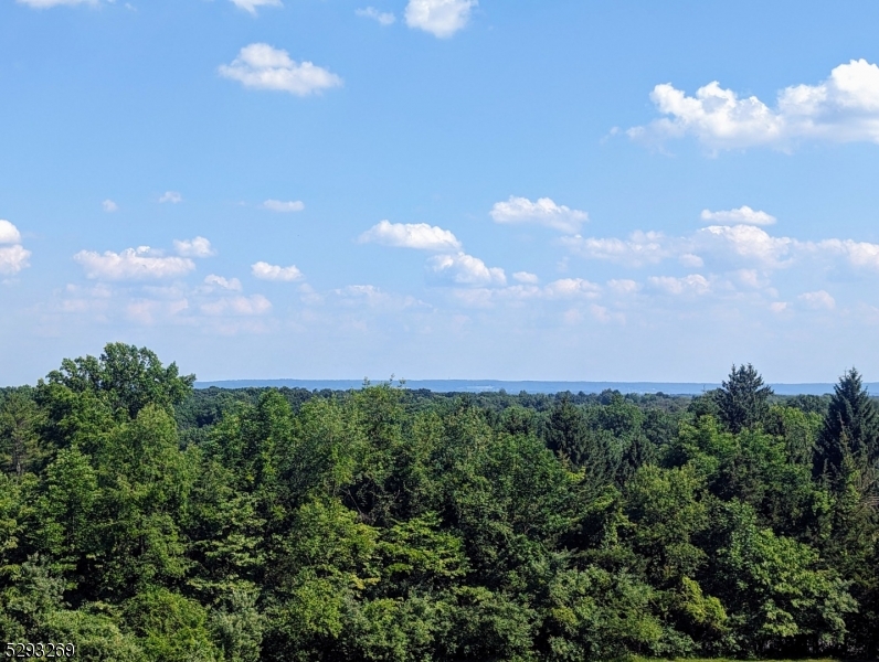 CUSHETUNK MOUNTAIN - Residential