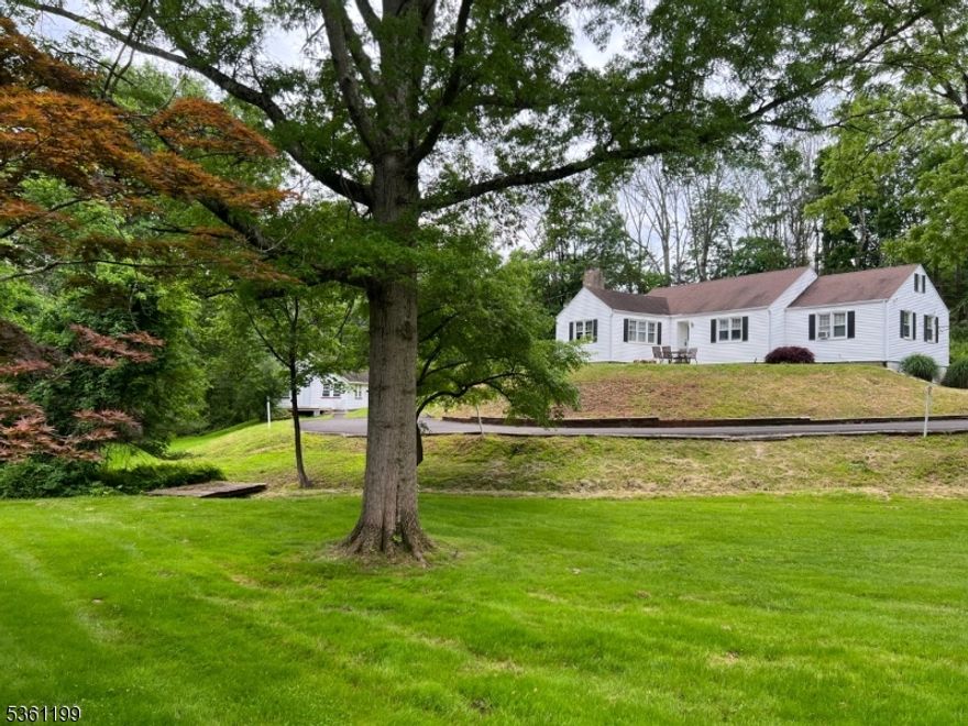 Prime location for development!! Golden opportunity to own 2 amazing dwellings on one lot, three-bedroom ranch and one-bedroom carriage home, with several updates to both homes, offers many possibilities for mixed use, residential, office or commercial development. 344 feet on route 206 exposure with a park like setting, located in a desirable Bedminster community that should not be missed! The main home features a welcoming foyer, hardwood floors throughout, formal dining room, paneled living room with vaulted ceilings, exposed beams & a stone wood burning fireplace for those warm & cozy nights. The eat-in kitchen includes stackable washer & dryer with outside access through rear door, three spacious bedrooms, all with ceiling fans, & two full bathrooms completes the main level. Basement level includes plenty of storage space with walkout access through the garage.  Wonderful opportunity for a business owner or to use as residential & have a rental income to subsidize their monthly bills. Also great for the investor looking to develop. Centralized location close to all major highways, shopping plaza & Far Hills train station within walking distance. Enjoy Bedminster's Low Taxes!! New furnace in main house and new well pressure tank.