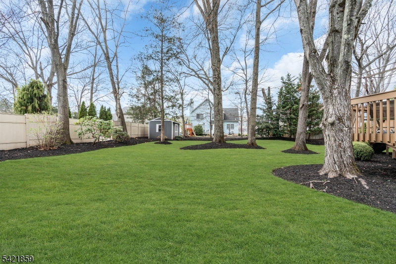 New Center Village - Residential