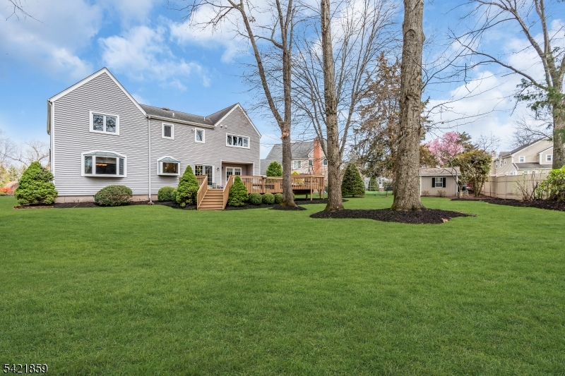 New Center Village - Residential