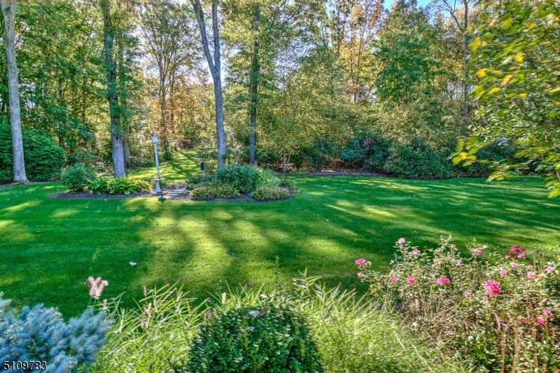 Basking Ridge - Residential