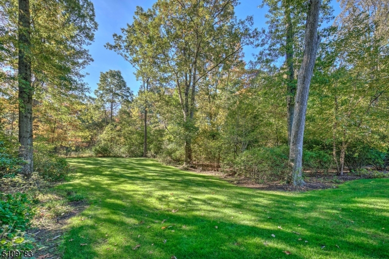 Basking Ridge - Residential