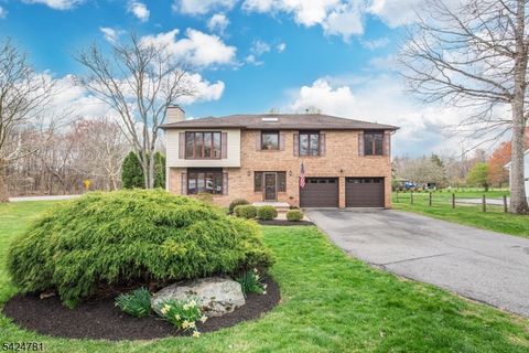1 Old Timbers Ct, Roxbury Twp., NJ 07847 - #: 4021140