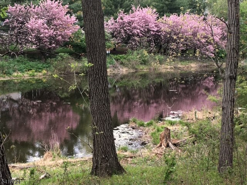 Concord Ridge - Residential