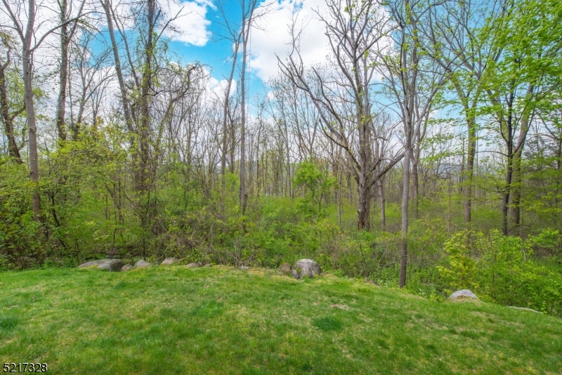 GREAT GORGE VILLAGE - Residential Lease