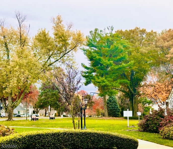 Rossmoor - Residential