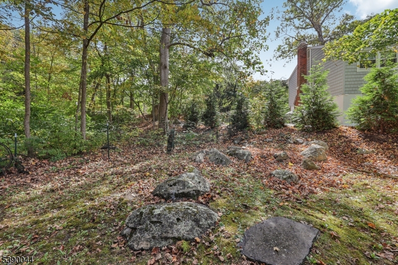 Cupsaw Lake - Residential