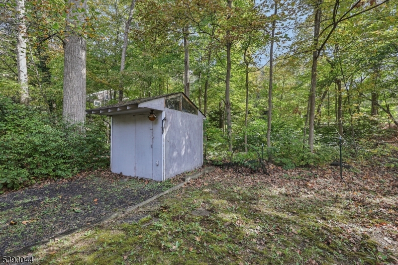 Cupsaw Lake - Residential