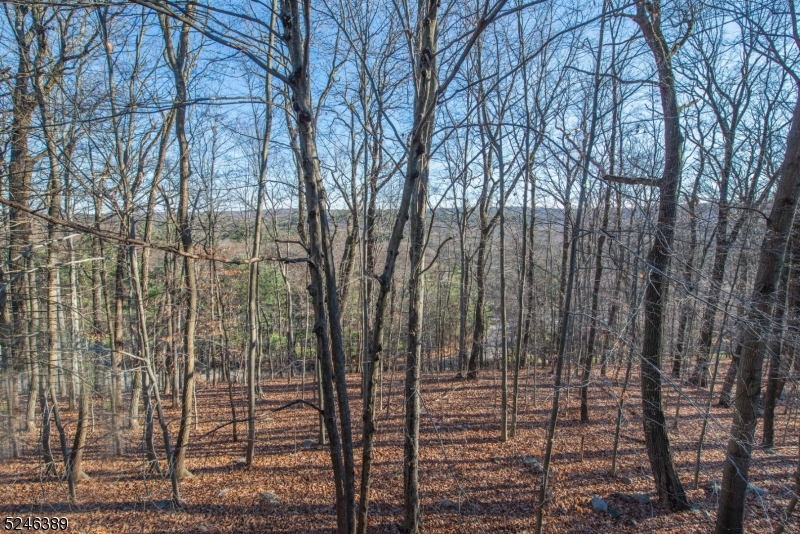 Bald Eagle Village - Residential