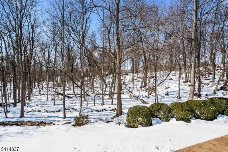 SQUAW BROOK RUN - Residential