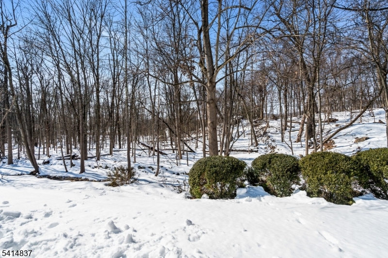 SQUAW BROOK RUN - Residential
