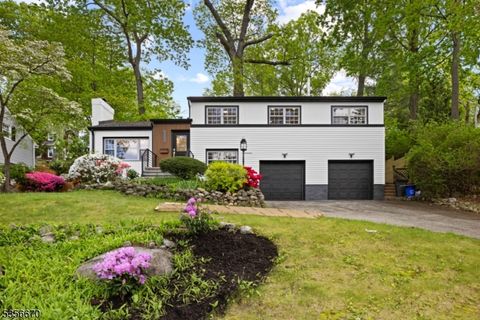 56 Ronald Ct Ramsey Boro NJ 07446