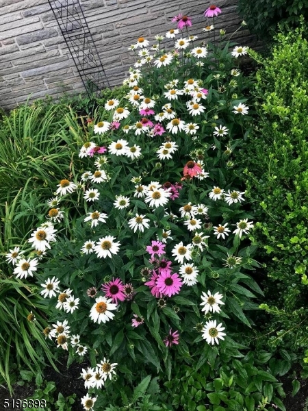 Lake Lenape - Residential