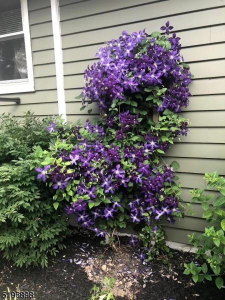 Lake Lenape - Residential