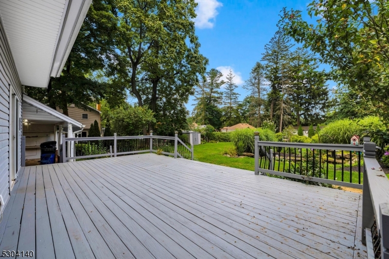 Budd Lake - Residential