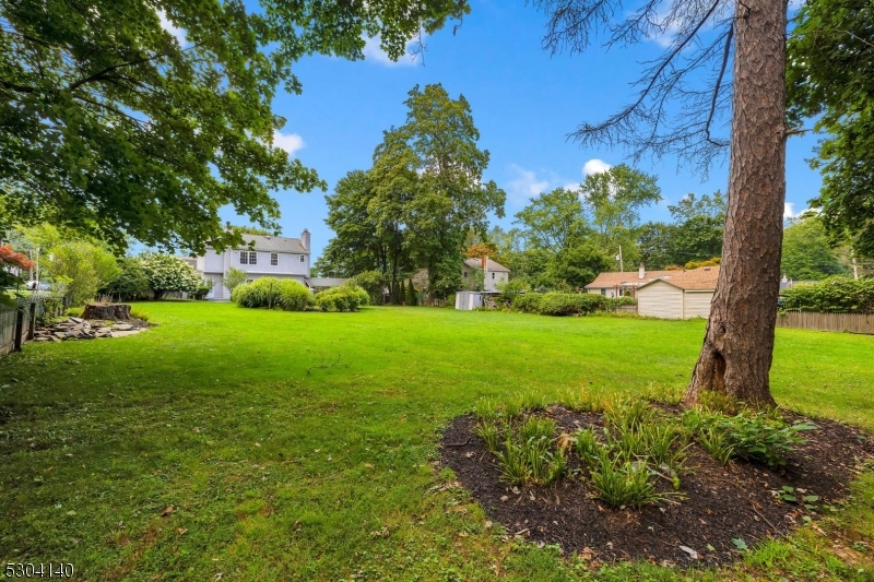 Budd Lake - Residential