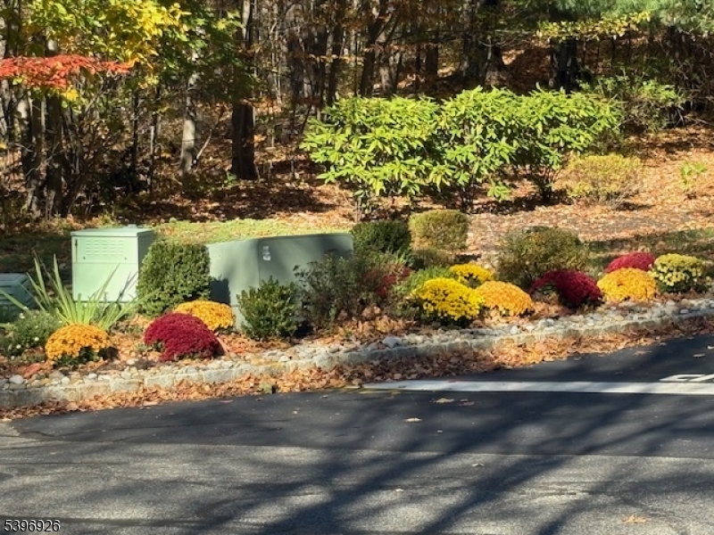 BALD EAGLE  COMMONS - Residential