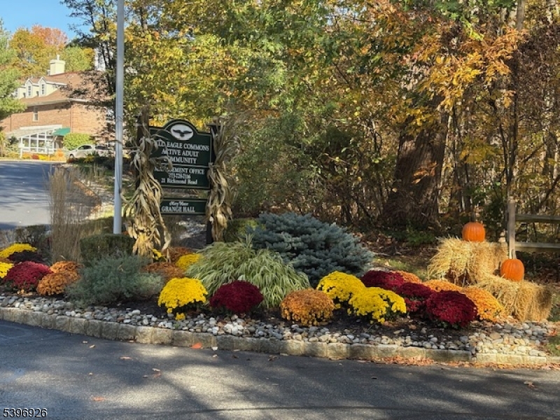 BALD EAGLE  COMMONS - Residential