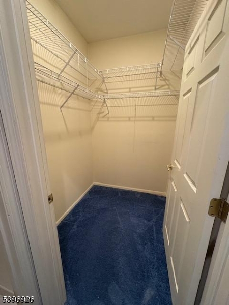 BALD EAGLE  COMMONS - Residential