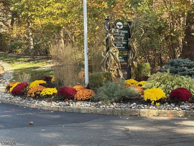 BALD EAGLE  COMMONS - Residential