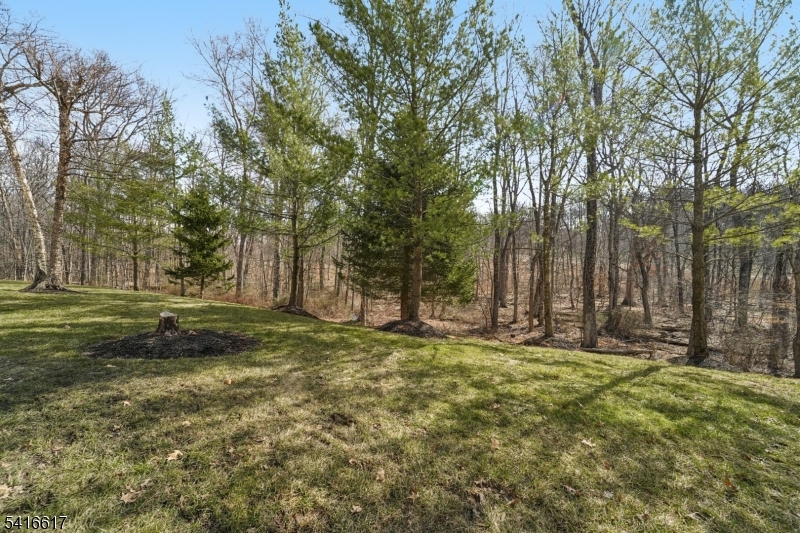 Bel Air at West Orange - Residential