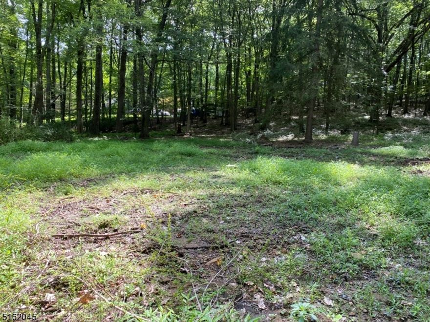 Lovely private and wooded lot set back from the road in the valley section of Long Valley.  Mature trees, old farmers walls, property slopes gently up hill.  Documents still valid - Highlands Act Exemption, Water Quality Mgmt, Wetlands Delineation.  Buyer needs home plans for site plan approval.  Electric on property.  Property had passing perc in 2008. Califon 07830 mailing zip code.