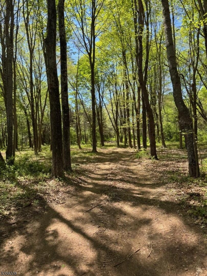 Hillsborough Twp., New Jersey 08844, United States, ,Land,Active,239352