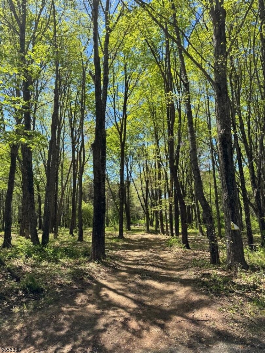 Hillsborough Twp., New Jersey 08844, United States, ,Land,Active,239352