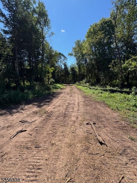 Hillsborough Twp., New Jersey 08844, United States, ,Land,Active,239352