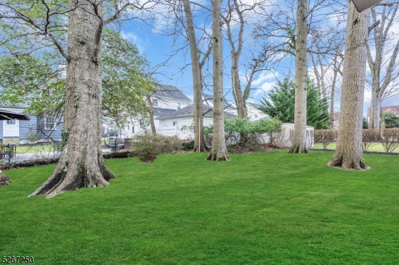 Home Not in Flood Zone - Residential