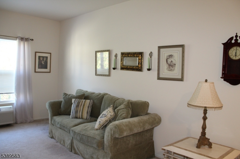 BALD EAGLE COMMONS - Residential