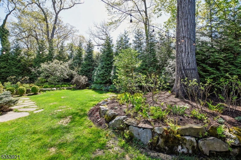 Woodland Park - Residential