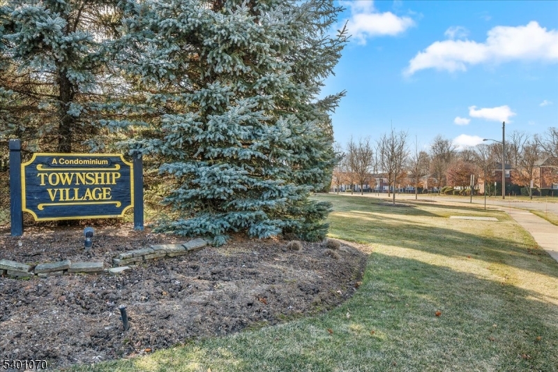 Township Village - Residential